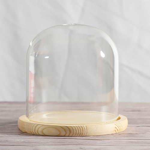 COYOUCO Glass Cloche Dome Display with Solid Wood Base for Displaying Plants, Ornaments, Figurines, Dia20cm Height20/25/30cm,Dia20*H30cm