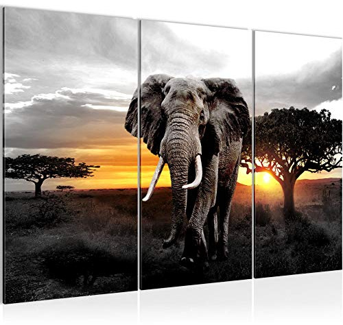 Runa Art Wandbilder Afrika Elefant Bild XXL Wohnzimmer Schlafzimmer Grau Orange Panorama 120 x 80 cm 3 Teilig 001231c