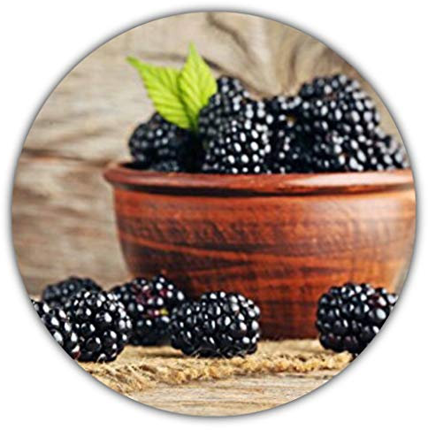 Riesen Brombeeren - Ca. 50 Samen - Gesunde & Vitaminreiche Früchte