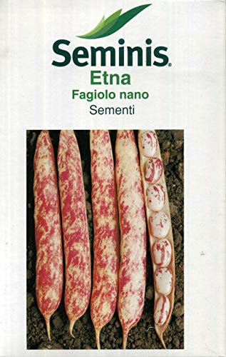 Seminis sementi di legumi piselli, fagioli, fagiolini di qualità per uso hobbystico in confezioni varie (fagiolo nano etna, 1 kg)