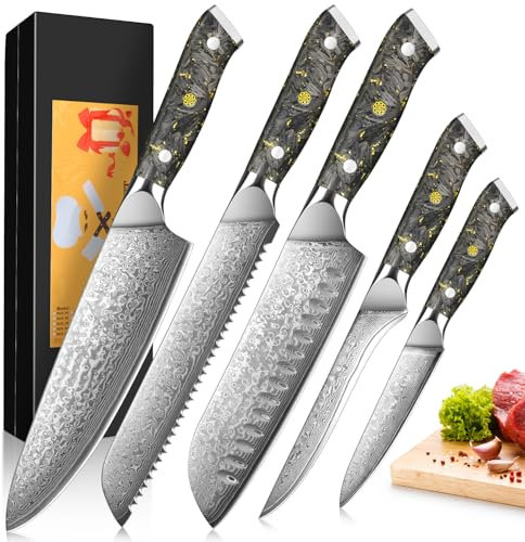 5 Pièces Ensembles de Couteaux Cuisine, Set Couteau Cuisine Damas, 67 Couche Acier Couteaux Japonais - Couteau de Chef, Couteau Santoku,couteau à pain, Couteau de désosser, Couteau Universel