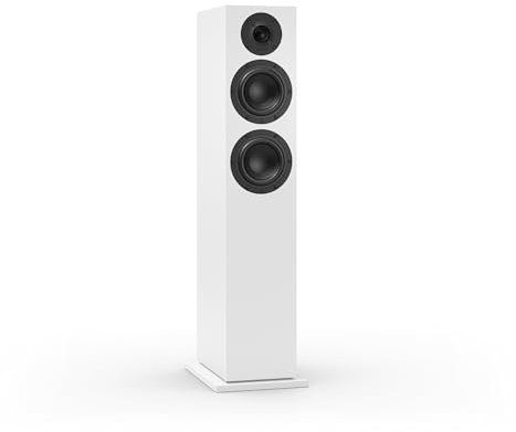 Nubert nuBoxx B-60 | schwarzer Standlautsprecher mit Grauer Front | 1 Stück Passivbox | für junges Wohnen | Kompakte Standbox für HiFi | Lautsprecher bis 35 Hz (-3dB) | ideal im modernen Wohnzimmer