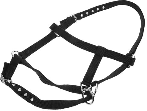Supvox Reitsport Trainingsbedarf Mini Dekoration Markenleiste Vakuumhalterung Wandmontierter Saugnapf Mehrzweck Biegering Seil Zaumzeug Mini Helme Signaturleiste Schlüsselanhänger Nylon