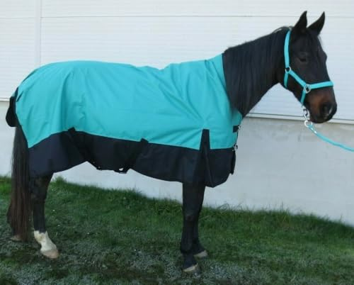 Pferdedecke Winterdecke 1200D Highneck 150g 115, 125, 135, 145, 155 cm (Blaugrün, 145 cm)