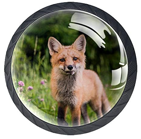 Möbelknöpfe Kinderzimmer Kleiner Fuchs 03 Schubladenknöpfe für Baby Schrankknöpfe Drucken Möbelgriff für Kommode Schrank Schublade Küche 4 Stück 3.5×2.8CM