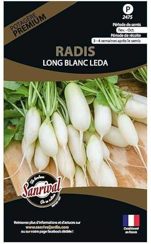 Graines potagères Premium Radis Long Blanc Leda