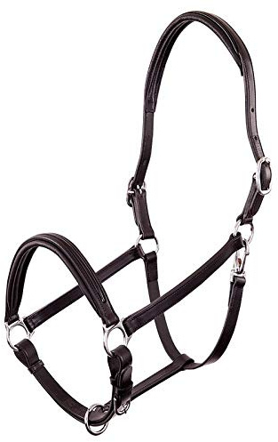 BR Premiere Lederhalfter Florennes - Size Full