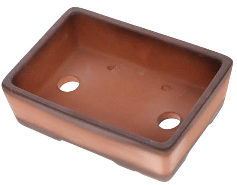 Sosoport 1pezzi Piantana Per Piante Grasse Fioriera Decorativa Con Design Unico Perfetta Per Interni Ed Esterni Per Decorazioni Festive e Paesaggistiche
