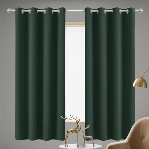 PSHYJUN Tende per Interni Tenda Oscurante 80 x 330 cm con Occhielli/Poliestere Moderne Eleganti Tende Interni con Passanti per Porta Finestra, Decorazione e Divisorio Stanze, Verde Scuro