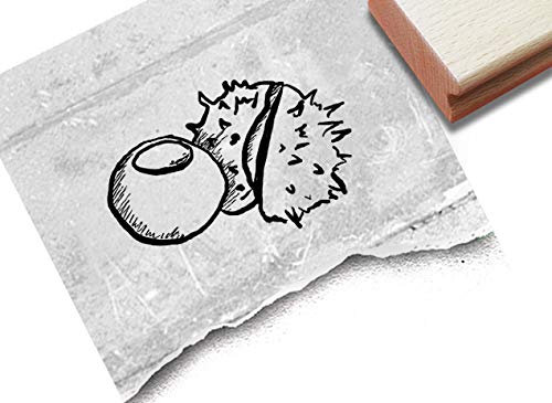 Stempel Motivstempel Kastanie - Bildstempel für Basteln Karten Tischdeko Kunst Scrapbook Herbst-Deko Geschenk für Kinder- zAcheR-fineT