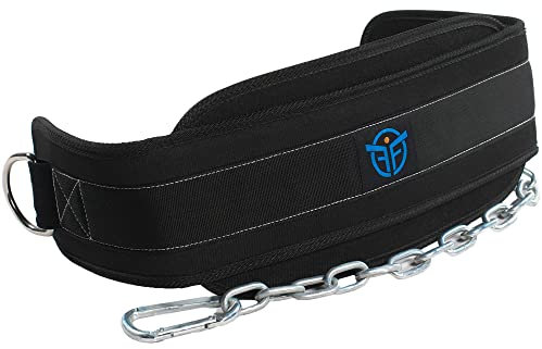 Eric Flag Dip Gürtel für Calisthenics mit Stahlkette oder Nylonseil und 2x Karabiner, Gewichtsgürtel, Sport Geräte für Klimmzug & Dips - Dip Belt für Bodybuilding, Krafttraining, Crossfit
