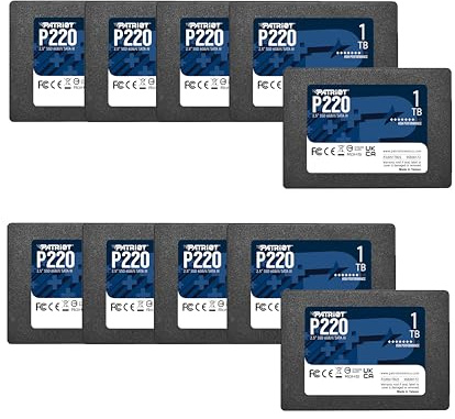 Patriot P220S1TB2510 Lot de 10 disques SSD internes SATA 3 2,5 1 To