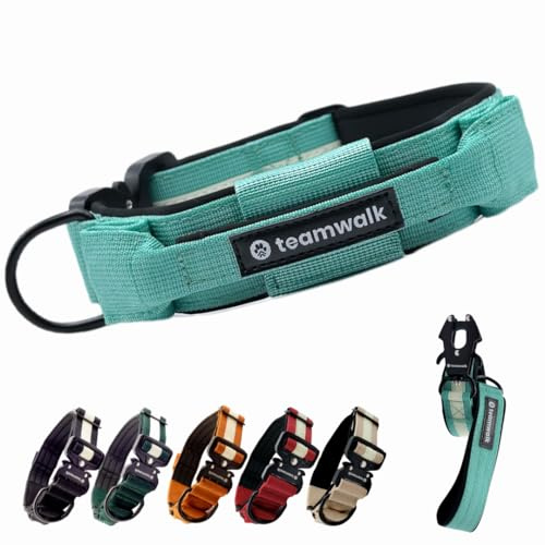 teamwalk® Premium Hundehalsband - mit Magnetgriff, Leuchtstreifen, Air-Tag Tasche, individuell einstellbar, weiche Polsterung, robuste Schnalle, mit passender Leine erhältlich, JETZT NOCH Leichter(M)