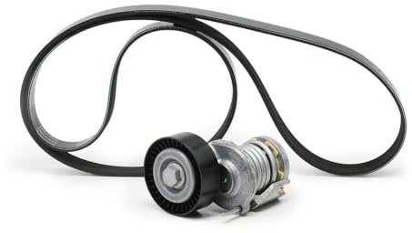 INA 529 0521 20 Keilrippenriemensatz Keilrippenriemensatz 1580 mm 6Rippenanzahl | 529 0521 20 passend für A4 A5 A6 Q5 Exeo | 529 0521 20