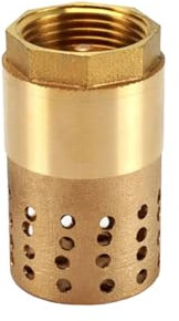 DN25 1 Messing Fußventil Rückschlagventil, Innengewinde, Rückflussverhinderer mit Saugkorb zum Anschluss an Pumpen [1er pack]