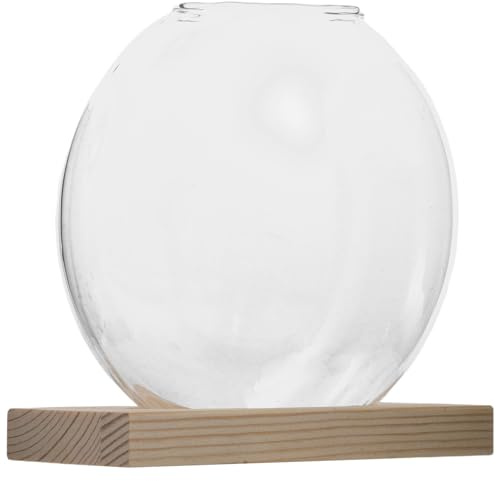 CAXUSD Vase Hydroponique en Verre Transparent avec Base en Bois Naturel, Pot de Culture Hydroponique Décoratif pour Bureau et Maison, Terrarium Rond pour Plantes D’intérieur, Système