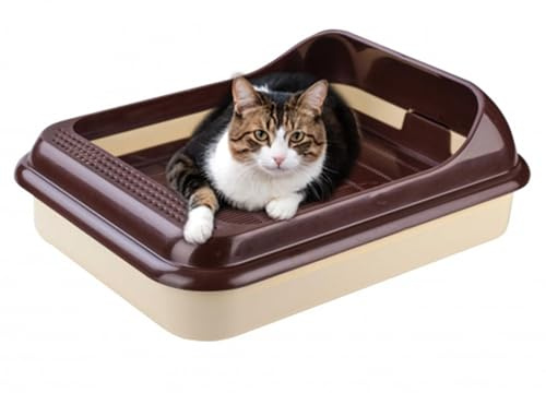 Katzentoilette Schalentoilette Katzenklo Katze Kätzchen - Abnehmbarer Hochrand und Reinigungssieb - Braun - Maße (BxTxH): ca. 450x350x150 mm