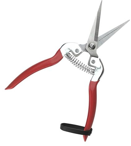 QianRuiDa Forbici da Giardino, Forbici da Giardinaggio, Forbici con Manico Antiscivolo, Forbici a Mano, Forbici per Fioristi per La Disposizione dei Fiori, Taglio delle Piante, Raccolta dei Frutti