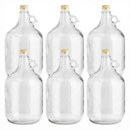 lilawelt24 6 x 5L Glasballon (Gallone) mit Rundgriff & Schraubverschluss - Glasflasche mit Henkel für Wein, Gärung & Saft