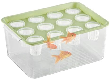 Hydroponischer Pflanztopf mit Betta-Fischtank – Aquaponik-Desktop-Aquarium für Pflanzen & Kampffische | Nachhaltige Wasserkultur für gesunde Pflanzen & dekoratives Fischbecken Pflanzenfischtank
