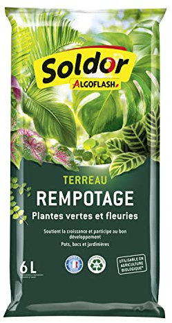 Algoflash Terriccio riempitivo verde e piante fiorite, 6 L, trasparente