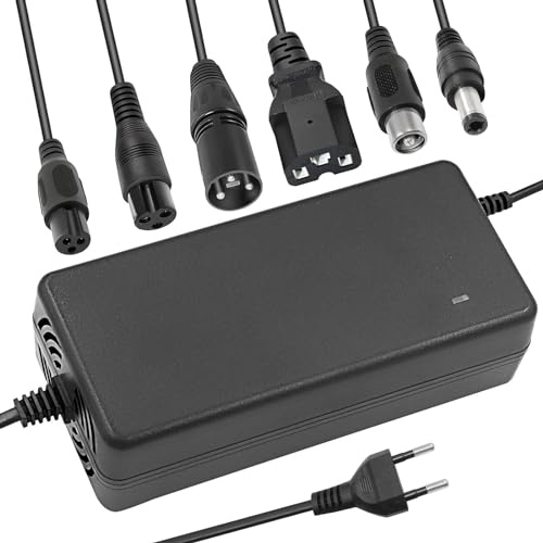 UURRPP 54.6V 2A Li-ion Ladegerät Mehrere Stecker Für Elektrofahrrad Roller E-Bike Boot Motorrad Akku Ladegerät 13S 48V, Grünes