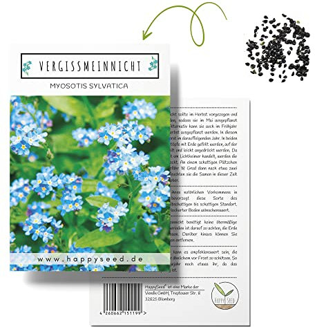 Vergissmeinnicht Samen (Myosotis) - Märchenhafte Blumen mit langer Blütezeit für das Beet, den Balkon und die Terrasse