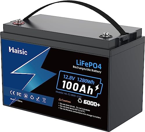 LiFePO4 Batterie au Lithium 100 Ah 12 V avec Une durée de Vie de Plus de 10 Ans et Un Maximum de 6000 Cycles, Puissance de Charge 1280 Wh, étanche IP65, 100 A BMS, Batterie au Lithium 12 V pour