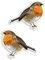 2 x 10cm Cute Red Robin Vinyl Stickers - Bird Wildlife Garden Fun Sticker #30913 (10cm Wide)