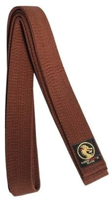 BUDOFIGHT Ceinture de karaté Marron Élite 260 cm