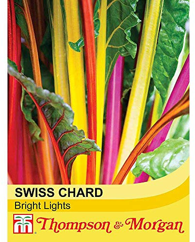 Swiss Chard 'Bright Lights' Seeds Hardy Annual Biennial Autumn Salad Vegetable Plant Garden Allotment Grow Your Own Mixed Colours 1 Packet of 80 Seeds by Thompson and Morgan