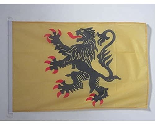 AZ FLAG Pavillon Nord-Pas-de-Calais 90x60 cm Anneaux Plastique | Usage extérieur et nautique Pavillon nautique nord-pas-de-calaisien avec anneaux en plastique polyester maille