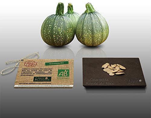 15 graines Bio à semer - Le Grenier d'Abondance - COURGETTE Ronde de Nice - Certifié AB - Cucurbita pepo