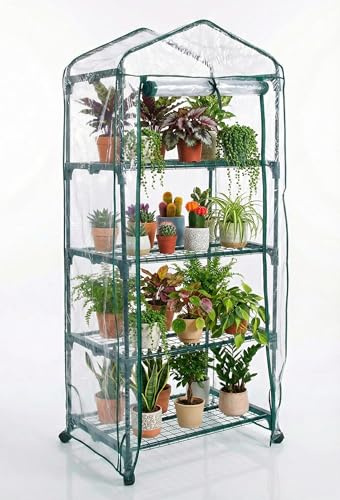 Biotop B2092 - Invernadero Exterior estándar de 4 Bandejas – Compacto y portátil para terrazas y Jardines | 68 x 49 x 156 cm, 4,92 kg