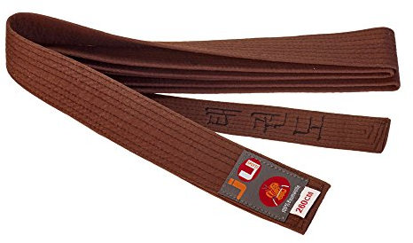 Ju-Sports Budogürtel braun mit Bestickung Taekwondo (Koreanisches Zeichen)