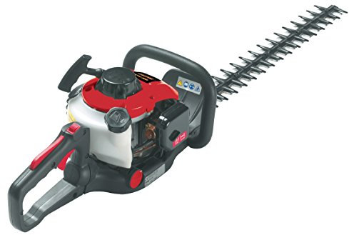 Castor Tagliasiepi Scoppio Cc.24,5/60 Htc550