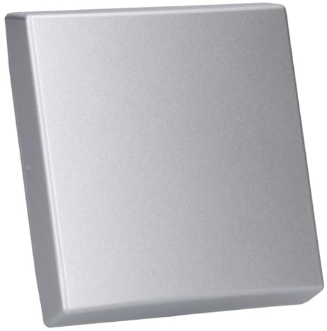 Busch-Jaeger 2106-33 Wippe