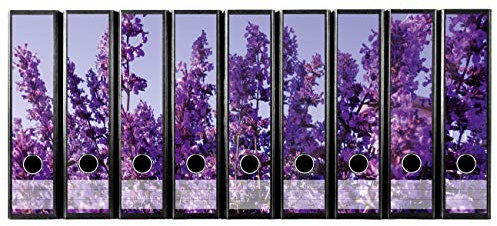 codiarts. Ordnerrücken selbstklebend | Etiketten Set für 9 breite Ordner | gestantzt mit Griffloch | Rückenschild breit | lila Lavendel