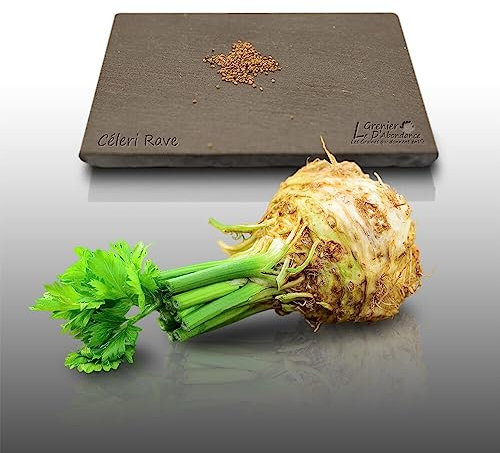 100 graines Aromatiques à semer - Le Grenier d'Abondance - CÉLERI Rave - Apium graveolens