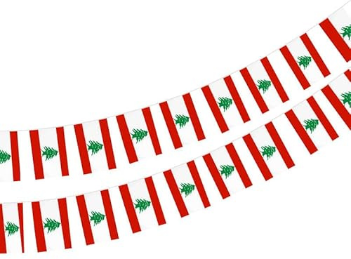 Lot de 40 drapeaux du Liban Guirlande Liban 11,4 m