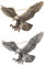 Danshinbow Lot de 2 broches vintage en forme d'aigle pour accessoires de vêtements, Métal Argent