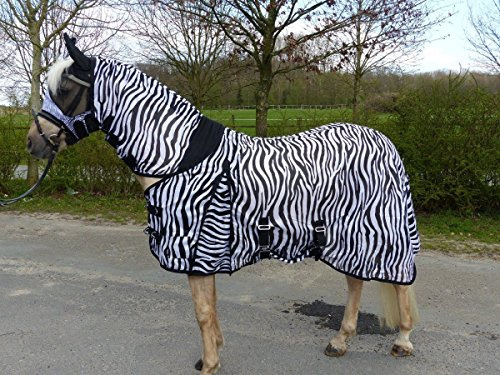 Hafer24 Deluxe Zebra - unsere Ekzemerdecke Fliegendecke (145)