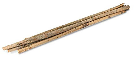 NaDeco Pappel Rinde Natur im Bund ca. 180-200cm Dekorinde Baumrinde zum Basteln Bastelrinde Pappelrinde Dekozweig Dekoast