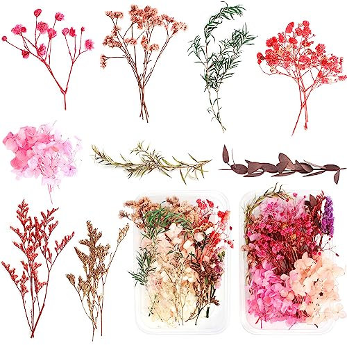 2 Boxen Heilok Natürliche Getrocknete Blumen,Getrocknete Gepresst Blumen Gemischte Getrocknete Blätter, Trockenblumen Set,Gepresste Blumen für DIY Basteln Handwerk Epoxidharz Scrapbooking Deko