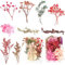 2 Boxes Real Dried Flowers Natural Dry Flowers Leaves Colorful Real Dried Flower Plant DIY Crafts Materials Dried Floral Decorations For Resin Crafts Candle Making Gift Card(16-20 Random Kinds)