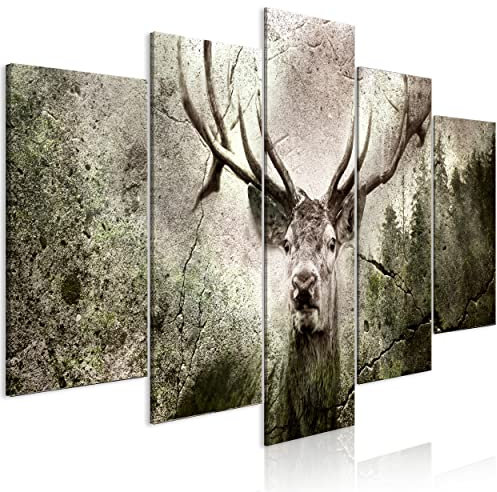 decomonkey Bilder Tiere 100x50 cm 5 Teilig Wandbild Groß Leinwandbild XXL Deko Wohnzimmer Schlafzimmer Büro Wanddeko Leinwand Pictures For Wall Poster Wall Painting Wandbilder Set Natur Abstrakte