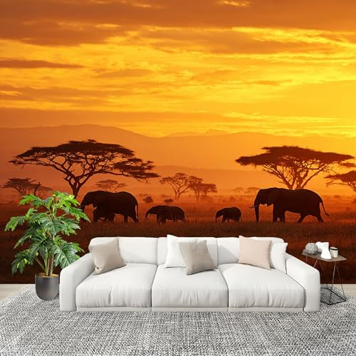 Papier Peint Intissé 3D Panoramique 300x210 cm Coucher de Soleil Dans La Savane Africaine Papier Peint Photo Fresque Murale Décoration Murale, Couleur Orange Résistant à la Poussière, Poster Mural