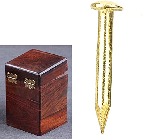 Fockety Remplacement Clou à Tête Ronde Charnière en Laiton Accessoires de Matériel 100 Pièces/clous en Laiton/10mm/15mm/18mm/22mm (10 mm de long)