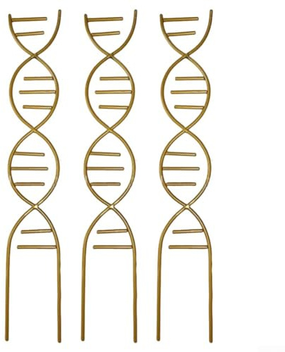 Cadre d'escalade avec ADN unique pour plantes d'intérieur, fabriqué à partir de fer robuste pour fournir un soutien aux plantes grimpantes comme les pothos et le lierre (doré)