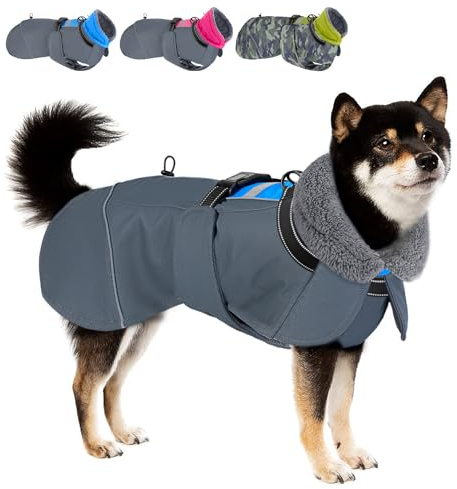 Eyein Hundemantel Winter für Kleine Hunde, Wasserdicht Hundejacke mit warmem Fleecefutter und Halsband, Winddichter Wintermantel Hund mit Bauchschutz und Verstellbarem Brustriemen (Blau, M)